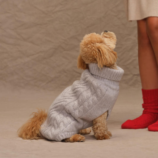 Doggie Sweater  